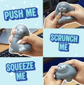 Chonky Seal