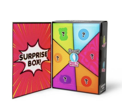 Scrunchems Surprise Box Set with 6 Compartments