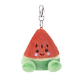 Palm Pals Sandy Watermelon | Clip-On
