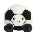 Palm Pals | Striker Football