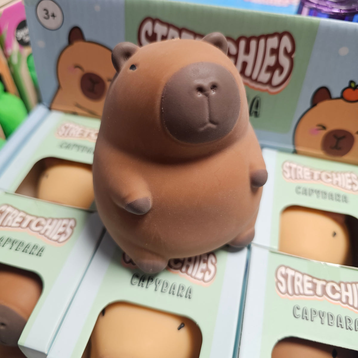 Stretchies Capybara